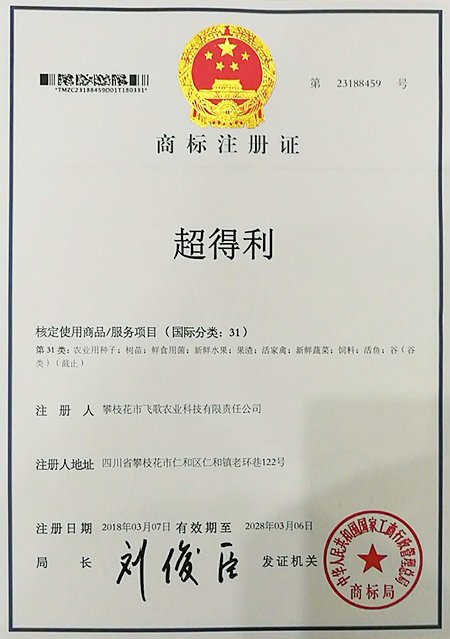 About Us