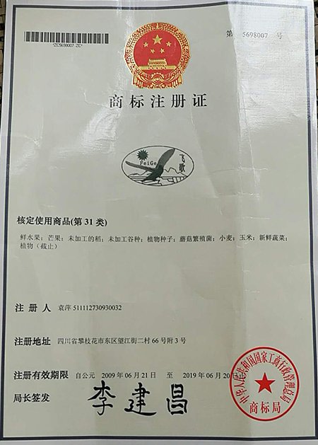 当前位置