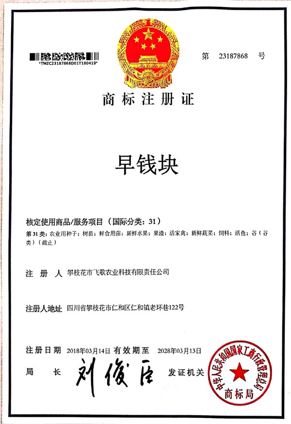 世俱杯携手桃子汉化组最新移植游戏公布