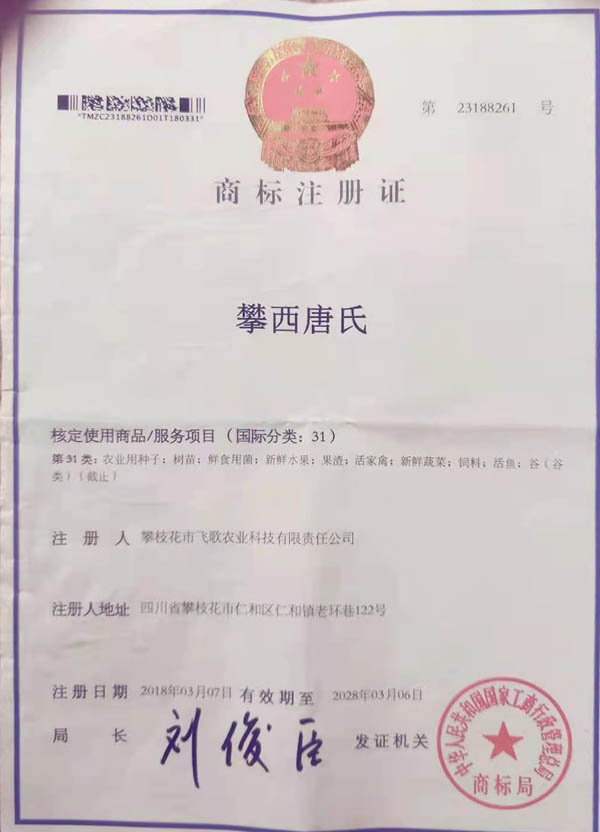 商标注册证