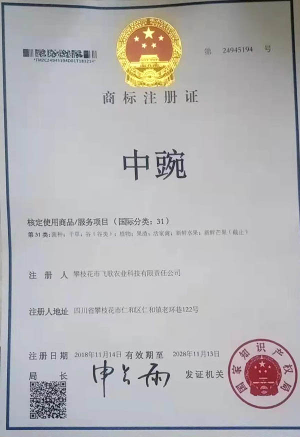 攀西唐氏商标注册证