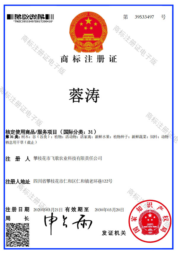 主页>> 关于我们>> 注册商标