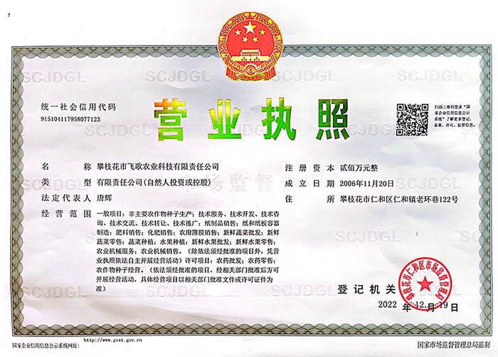 主页>> 关于我们>> 关于我们
