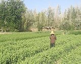 主页>> 桃子小姐催眠时间到了下载桃
