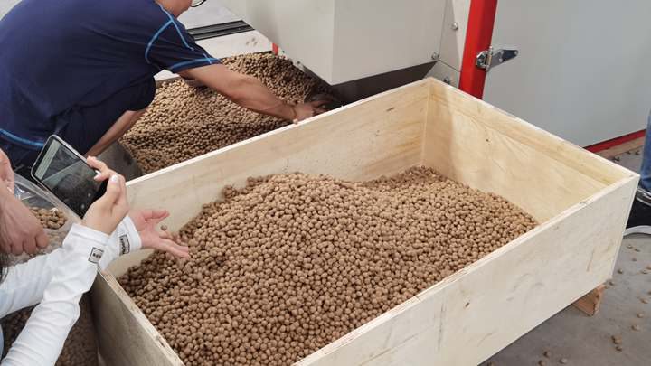 dry type Crappie pellet machine in Ghana